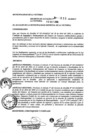 Vista preliminar de documento de_033-04