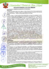 Vista preliminar de documento ORDENANZA MUNICIPAL N° 022-2021.pdf