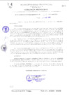Vista preliminar de documento RGM0147-2011