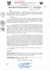 Vista preliminar de documento RGM0156-2011