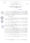Vista preliminar de documento RGM0155-2011