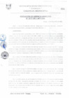 Vista preliminar de documento RGM0177-2011