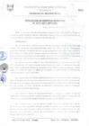 Vista preliminar de documento RGM0171-2011