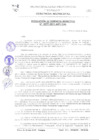 Vista preliminar de documento RGM0277-2011