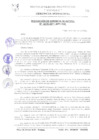 Vista preliminar de documento RGM0278-2011
