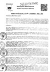Vista preliminar de documento Resolución de Alcaldía