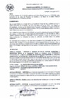 Vista preliminar de documento RG_313-2020.pdf