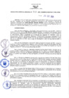Vista preliminar de documento RES N°314-2021-GRDS