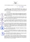 Vista preliminar de documento RES N°315-2021-GRDS