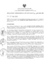 Vista preliminar de documento 2012-RG 038.pdf