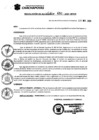 Vista preliminar de documento Resolucion_2021_451.pdf