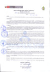 Vista preliminar de documento N°162-2021-GOB.REG.AMAZONAS-HA-GLL-BD.E.pdf