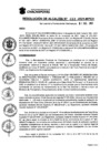 Vista preliminar de documento Resolucion_2021_453.pdf