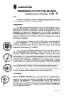Vista preliminar de documento Resolucion_2021_462.pdf
