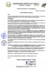 Vista preliminar de documento Ordenanza Municipal 01-2021/MDN-CM