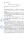 Vista preliminar de documento rgm21675