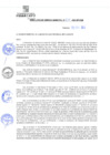 Vista preliminar de documento rgm21677