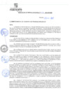 Vista preliminar de documento rgm21670