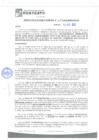 Vista preliminar de documento rgm21689