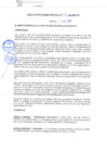 Vista preliminar de documento rgm21693