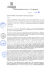 Vista preliminar de documento rgm21696