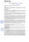 Vista preliminar de documento rgm21705