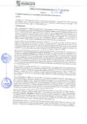 Vista preliminar de documento rgm21704