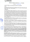Vista preliminar de documento rgm21707