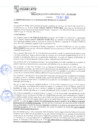 Vista preliminar de documento rgm21700