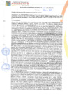 Vista preliminar de documento rgm21725