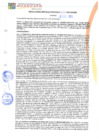 Vista preliminar de documento rgm21724