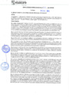 Vista preliminar de documento rgm21733