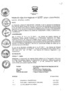 Vista preliminar de documento RER_155_2014.pdf