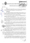 Vista preliminar de documento RA_313.pdf