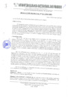 Vista preliminar de documento 14-2010.pdf