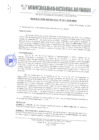 Vista preliminar de documento 17-2010.pdf