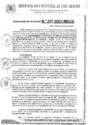 Vista preliminar de documento Resolucion de Alcaldia N° 217