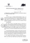 Vista preliminar de documento RESOLUCION SUB  DIRECTORAL ADMINISTRATIVA   294.PDF