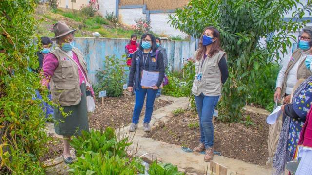 Establecimientos de salud del Minsa cuentan con pertinencia cultural al servicio de la población