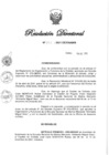 Vista preliminar de documento RD N° 393-2021.pdf