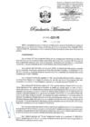 Vista preliminar de documento 1162-2021-IN 