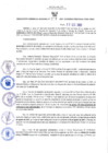 Vista preliminar de documento RES N°319-2021-GRDS