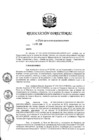 Vista preliminar de documento RD 266-2018