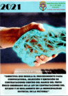 Vista preliminar de documento Directiva N° 005-2021-MDLV-UPyR.pdf
