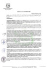 Vista preliminar de documento dec_al003_2021.pdf