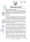 Vista preliminar de documento OM_020-2021-MPH.pdf