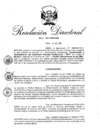 Vista preliminar de documento R.D.N° 008-2021-INPE-DML.pdf