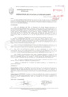 Vista preliminar de documento RESOLUCIÓN DE ALCALDÍA N° 1002-2013/MPS