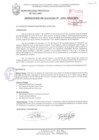 Vista preliminar de documento RESOLUCIÓN DE ALCALDÍA N° 1031-2013/MPS