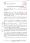 Vista preliminar de documento RESOLUCIÓN DE ALCALDÍA N° 1046-2013/MPS
